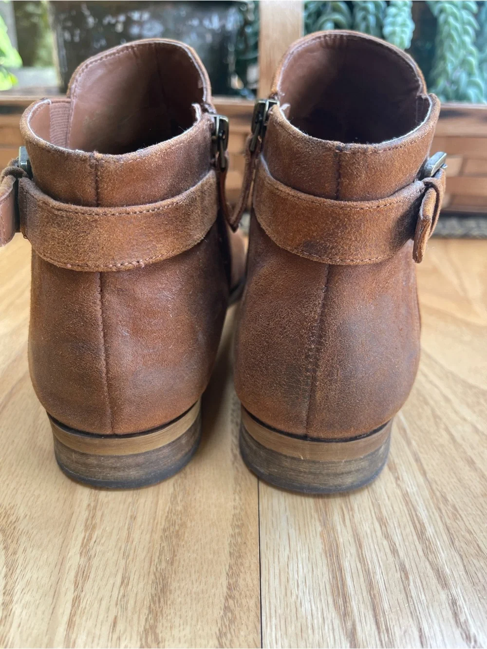 Franco Sarto Suede Ankle Booties in Cognac Brown
